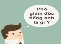 Ảnh Ghép Ảnh Tiếng Anh Là Gì ? Nghĩa Của Từ Ảnh Ghép Trong Tiếng Việt
